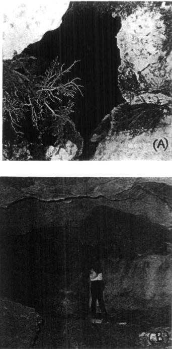 Cova d'En Jaume «Orat». A, entrada; B, interior.