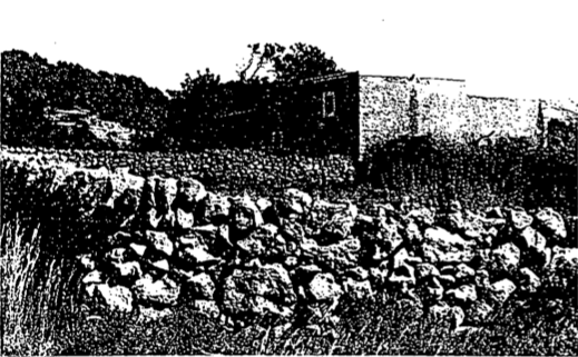 Vista del camp eivissenc