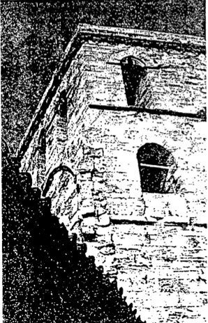 El campanar de la catedral des de la coberta de les capelles absidals.