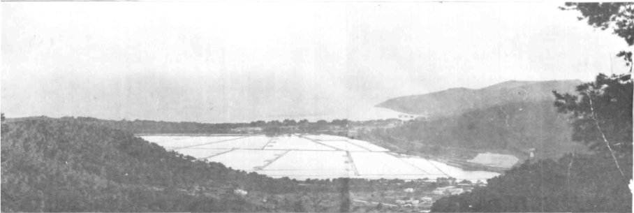 Vista parcial de les Salines: en primer terme, el Puig d'es Corb Mari, des d'on s'ha pres la fotografia. A continuació, i succesivament, els estanys y munts de Sal, la Platja de Migjorn, el carregador de sa Canal i el massis del Puig d'es Falco.