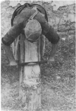 Operació de rascar i pentinar sa pita. Fotografies: 18-7-1972.