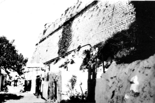 Habitatges adosats al baluard de Santa Llúcia