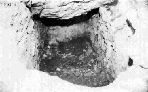 FIG. 3