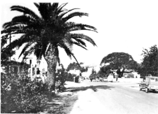 Vista parcial de Sant Miquel
