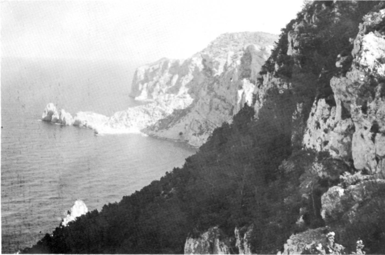 Imatge de la costa rocosa i el mar a Corona