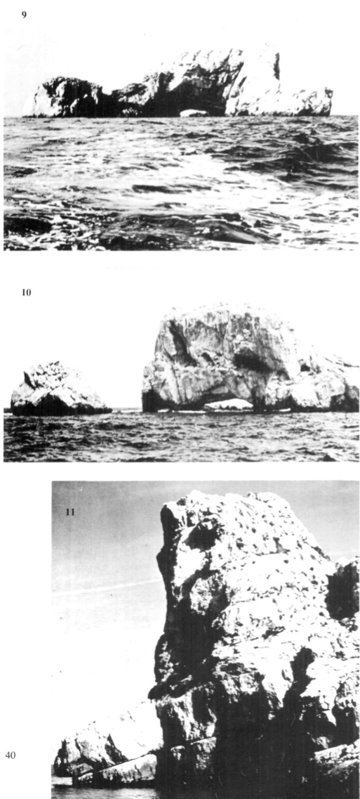 Il·lustració 6