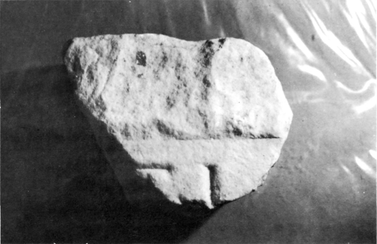 Fragment epigràfic romà de marbre blanc