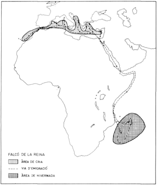 Mapa de migració del Falcó de la Reina