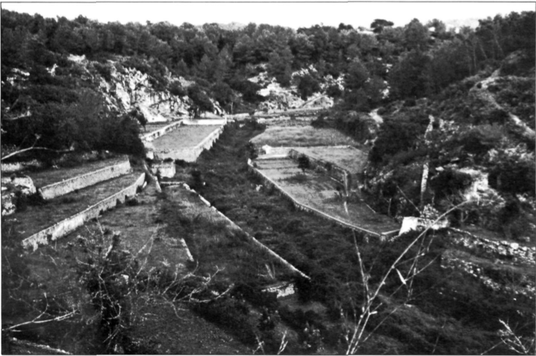 El torrent de Buscasatell i la seua hortada.
