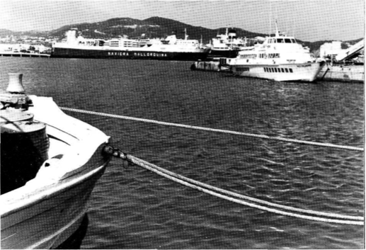 El port és la raó de ser de la ciutat i via de contacte amb l'exterior. Les seues aigües han vist el moviment d'incomptables velers i d'accions corsàries. Avui ens ofereixen la plàcida i qui sap si enganyosa calma d'una vida centrada a harmonitzar oci i activitat econòmica.