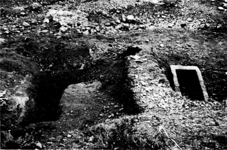 Vista d'un dels sectors excavats per J.M.ª Mañà el 1951.