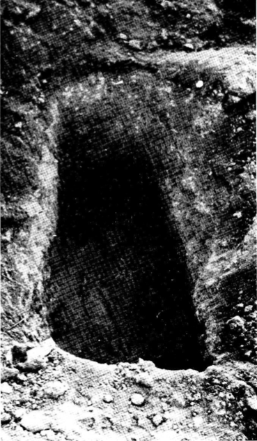 Fossa excavada a la roca (1966).