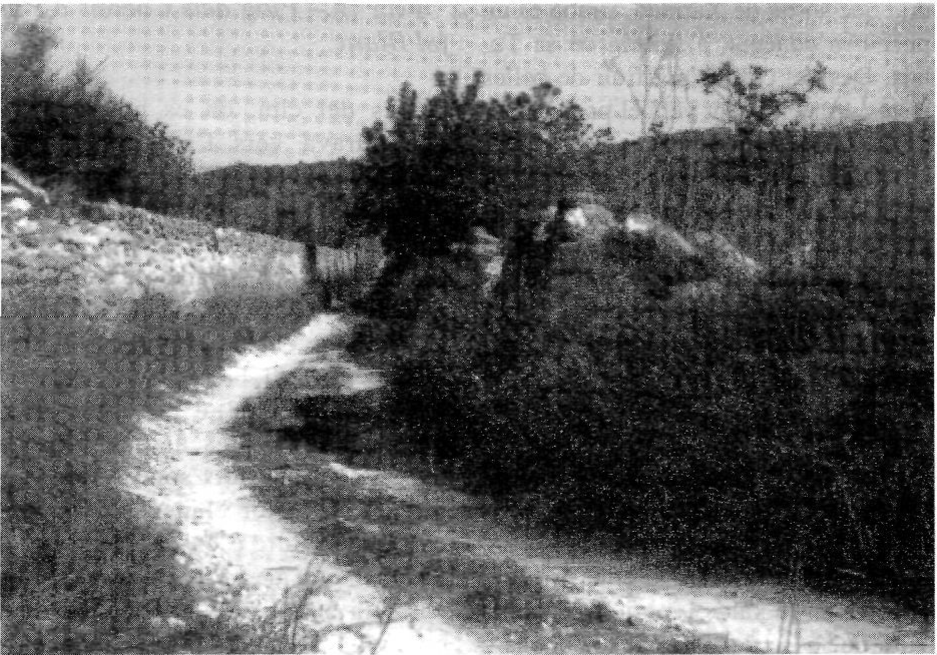 Carreró d'anar a missa els Quetois (9)