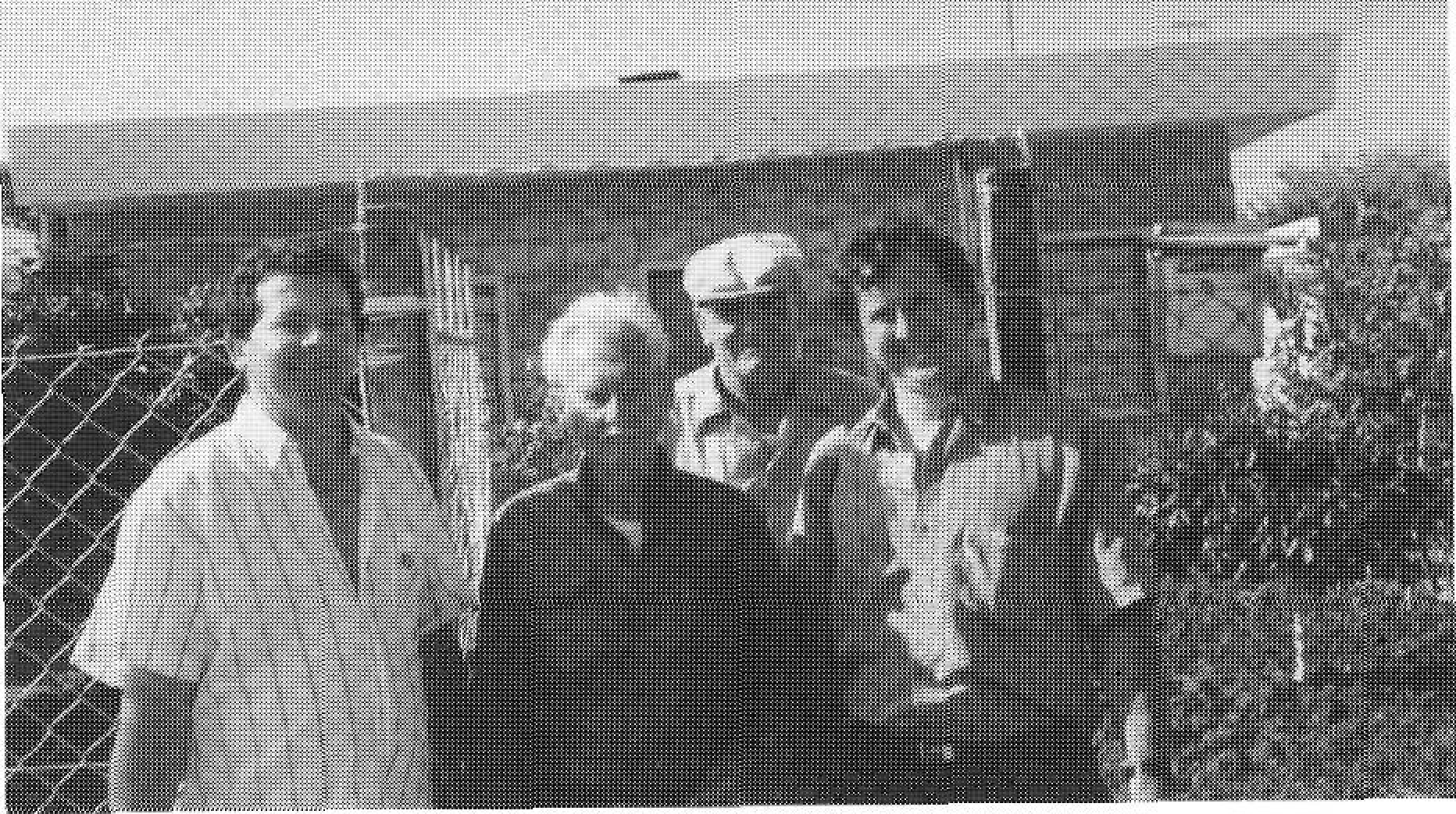Formenterers a l'Uruguai, d'esquerra a dreta: Jaume Verdera, autor de l'article, Vicent Verdera Suñer i Joan Castelló Suñer, emigrants i Josep Cardona Verdera, membre de l'expedició que els visità el passat Nadal.
