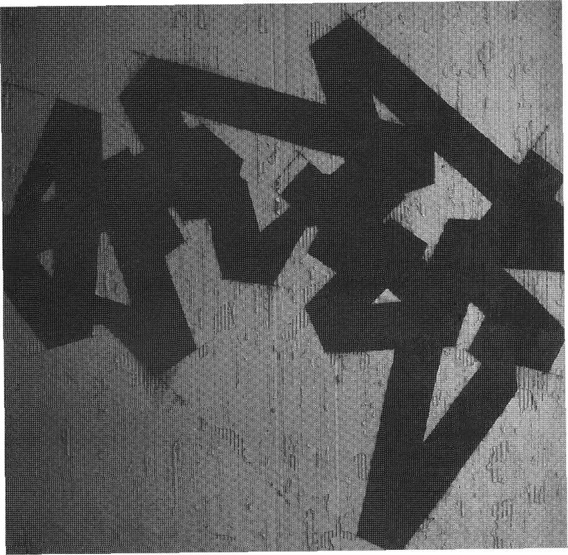Sense títol (1985) Don Kunkel