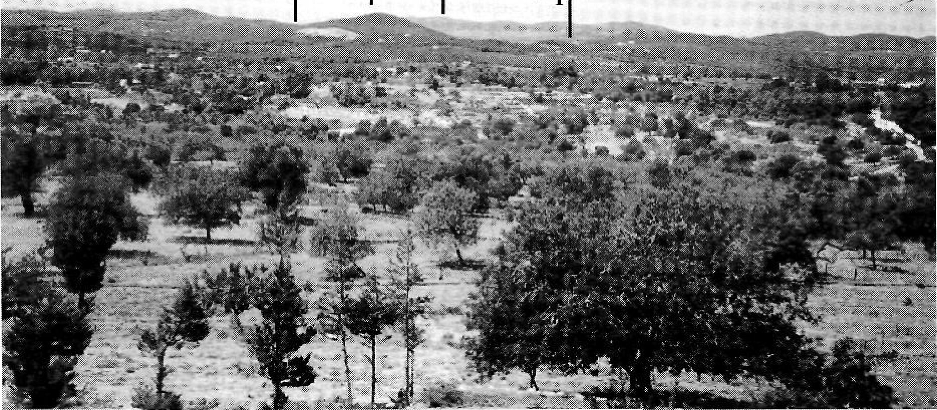 Albarqueta des de la Talaia de Sant Joan. En primer pla, Ca's Vidals. A la dreta el camí de Xarracó a Vila. Amb una imatge superposada indicant els punts 1 a 7: 1 Serreta d'en Nicolau, 2 Coll d'en Cabra, 3 Puig d'en Besora, 4 Sa Coma, 5 Cocons Vius, 6 Pujol de l'Aigua, 7 Puig d'en Besora