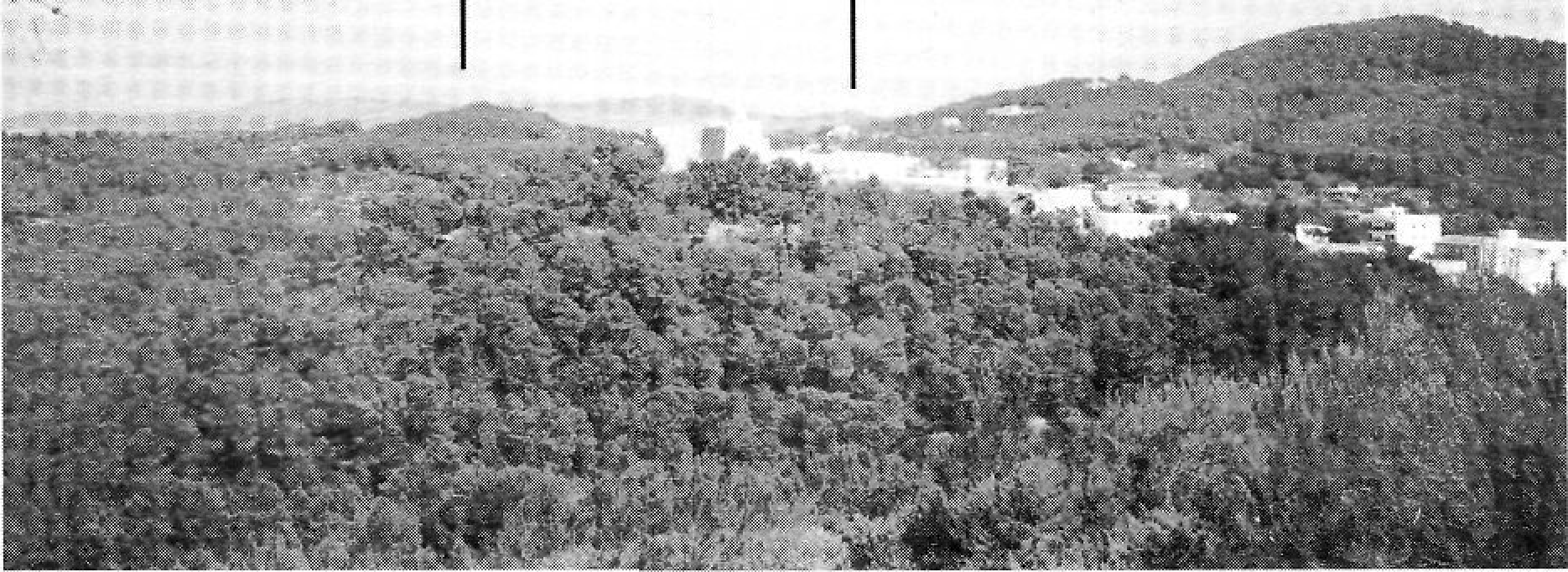 Sant Miquel des del camí de l'Ermita -Puig de l'Alcudia-. Imatge indicant els punts 1 a 3: 1 Serreta d'en Nicolau, 2 Coll d'en Cabra, 3 Puig d'en Besora