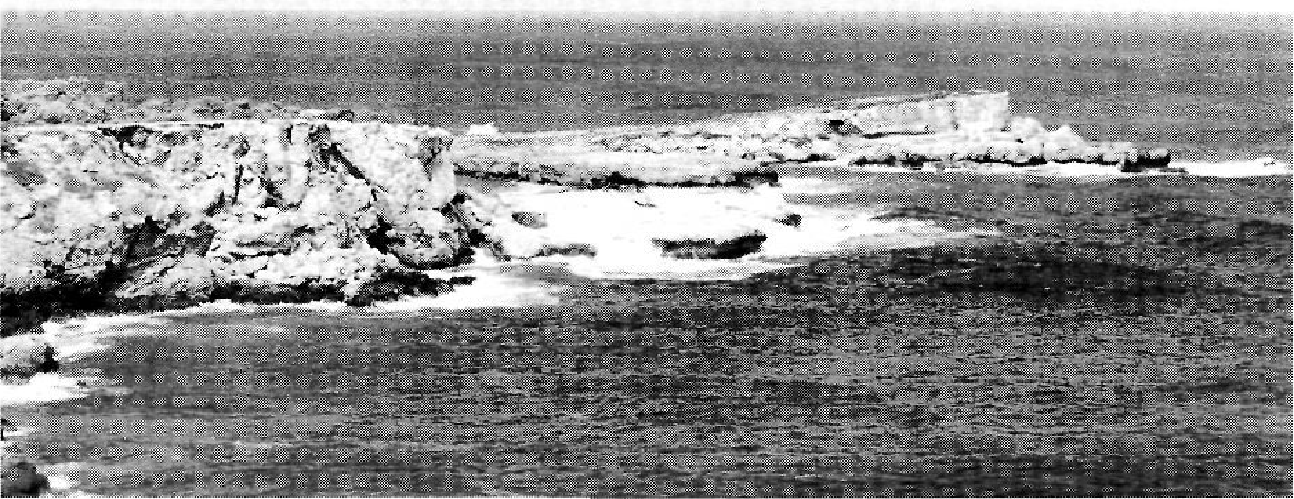 La punta de l'Illa d'Encalders, la Plana de l'Illa, batuda per les ones, i l'Illa d'Encalders. (Foto: Maribel Rodrigo.)