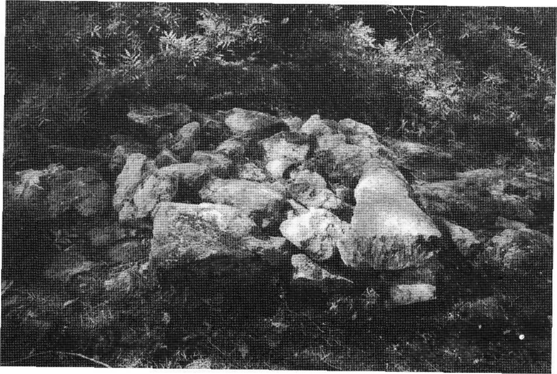 Fita del cim del puig dels Maçons (V / XVIII)