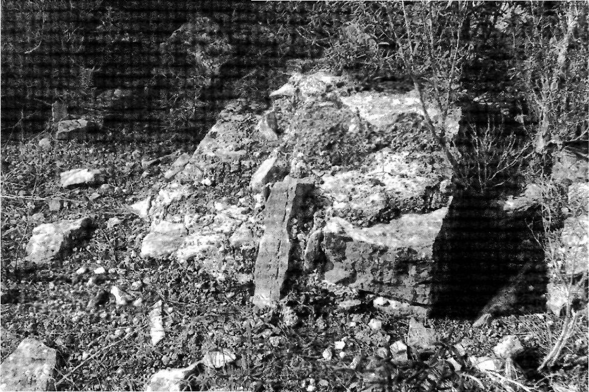 Fita del cim del puig de l'Argentera (XIII).