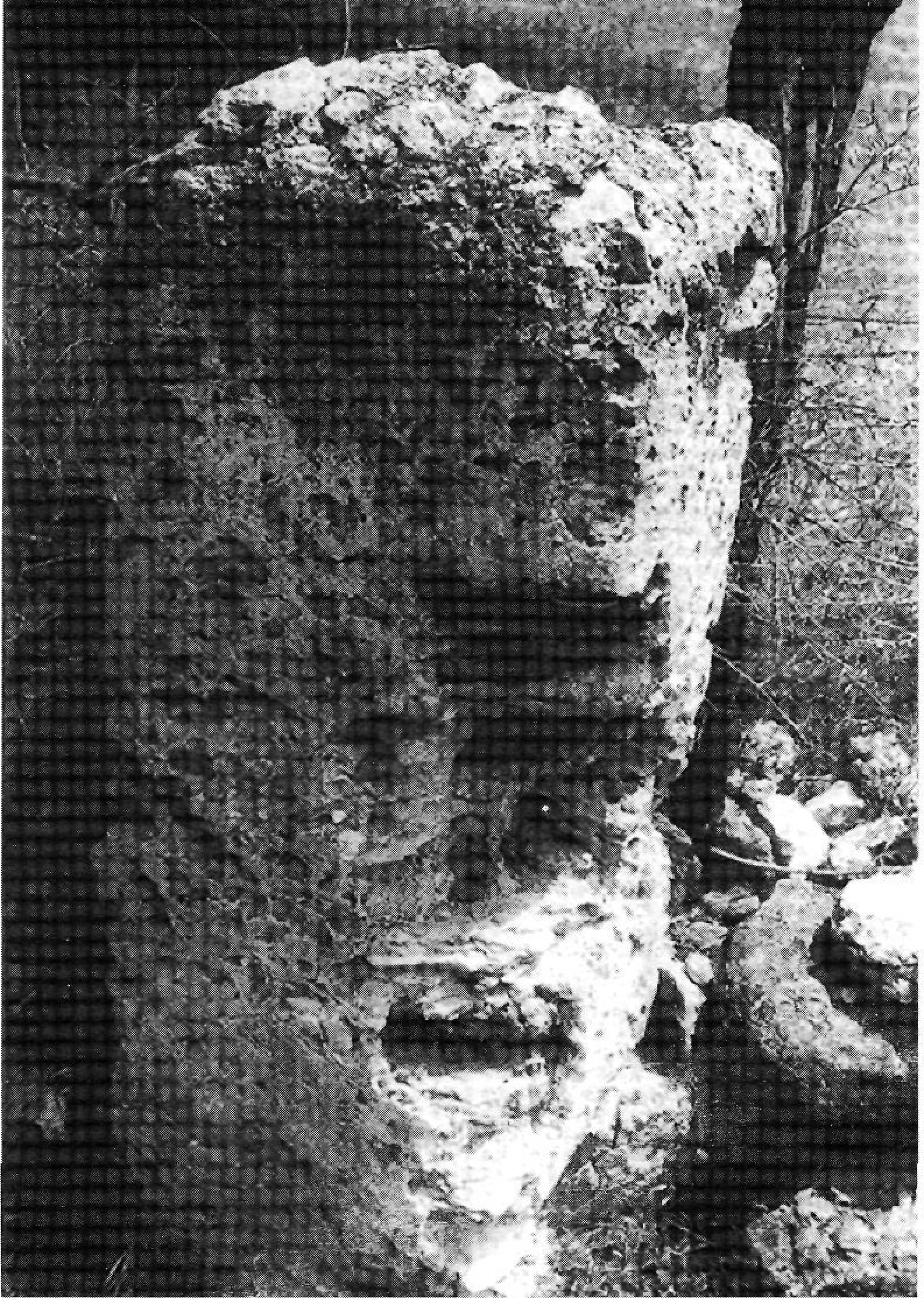 Fita de la torre de l'Alzina (XI).