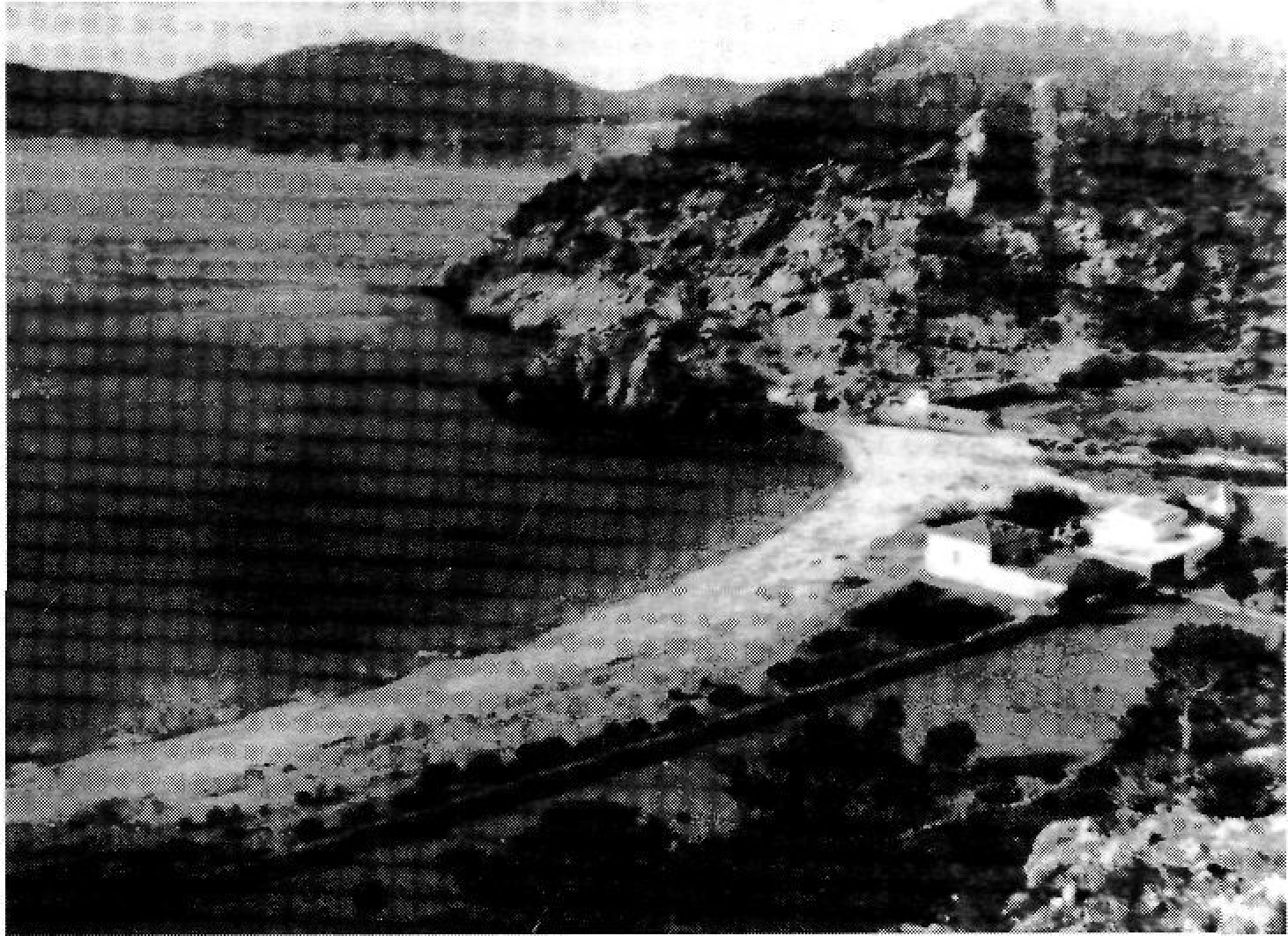 Vista de sa Cala els anys trenta.