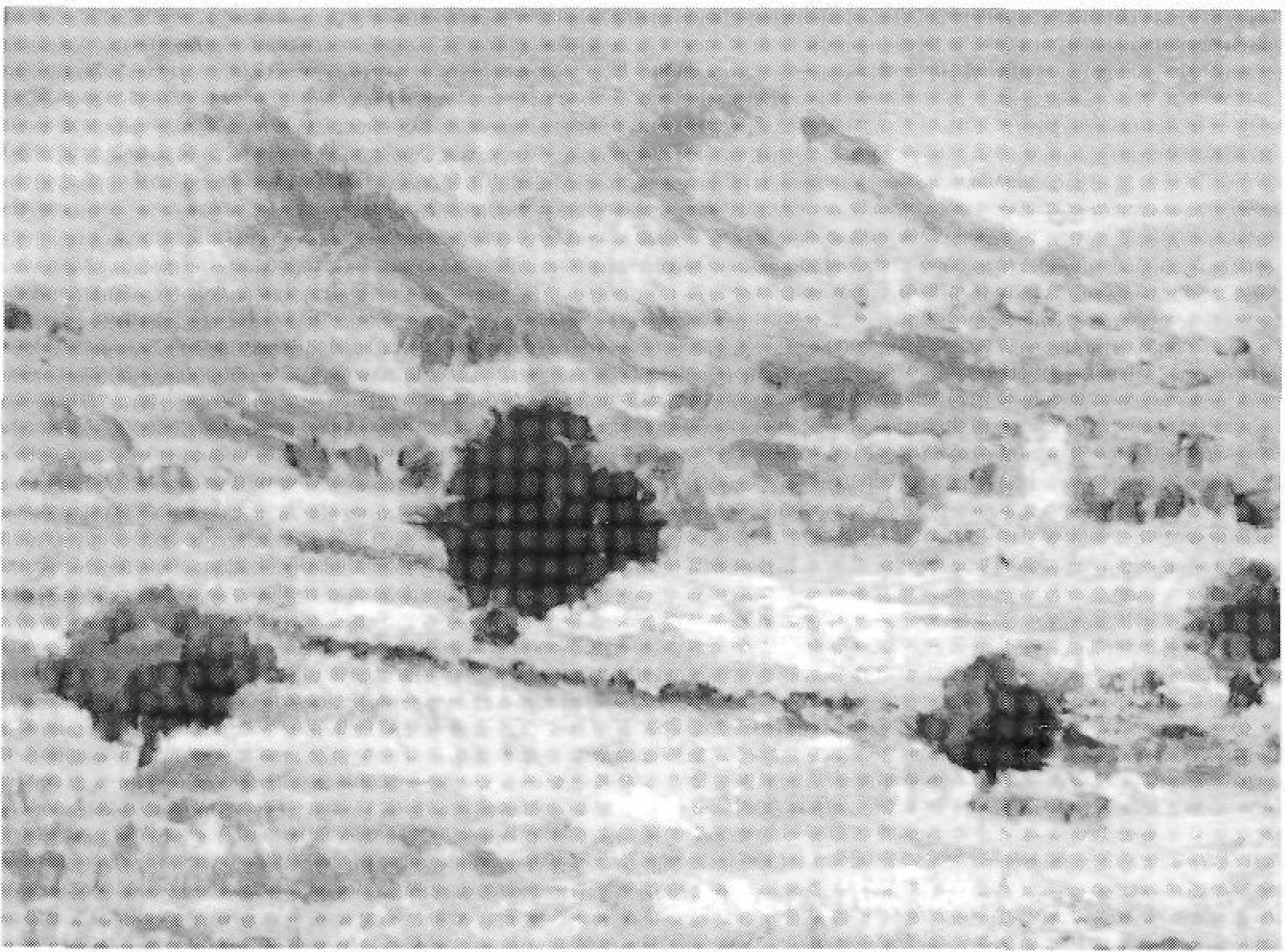 Neu a Eivissa, el 24 de desembre de 1962. Oli de Josep Marí.