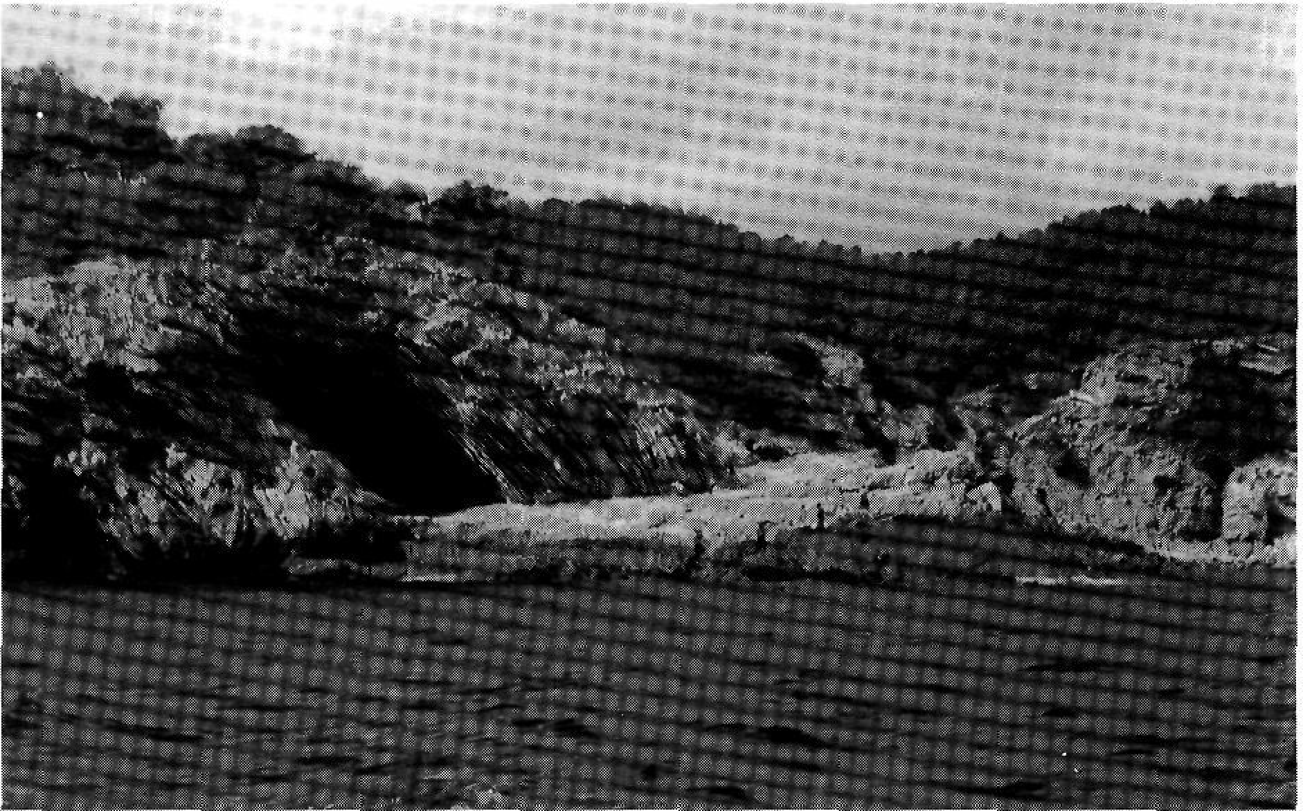 La Cova de les Puntes del Forn.