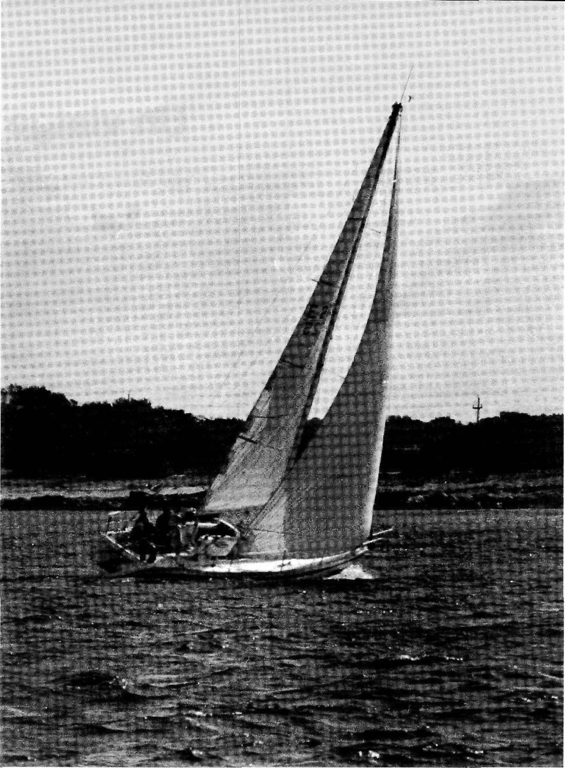 El Port Magnus en una cenyida.