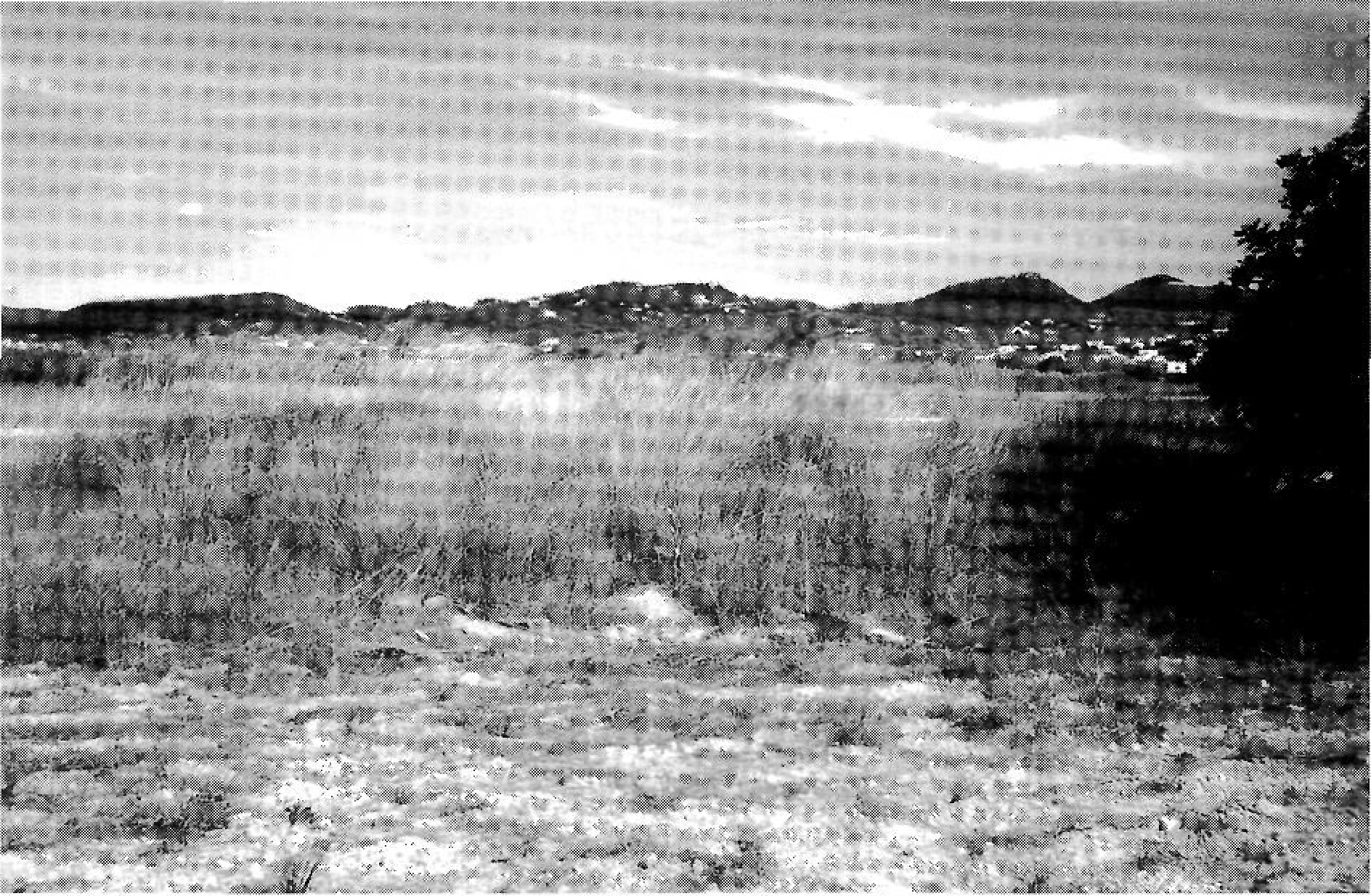 Partió de Tramuntana, des del puig d'en Valls. De dreta a esquerra: puig d'en Riera de la Creu (segon), creu dels Rieres, puigs d'en Lloses, d'en Manuel Rafalet, d'en Bessó, d'en Picaferro i dels Porxos.