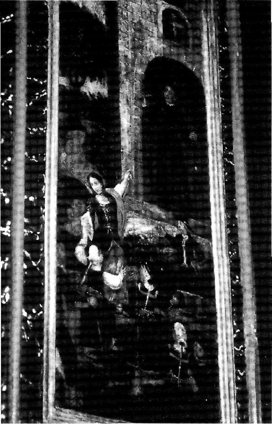 Làm. 2. Foto Domínguez.