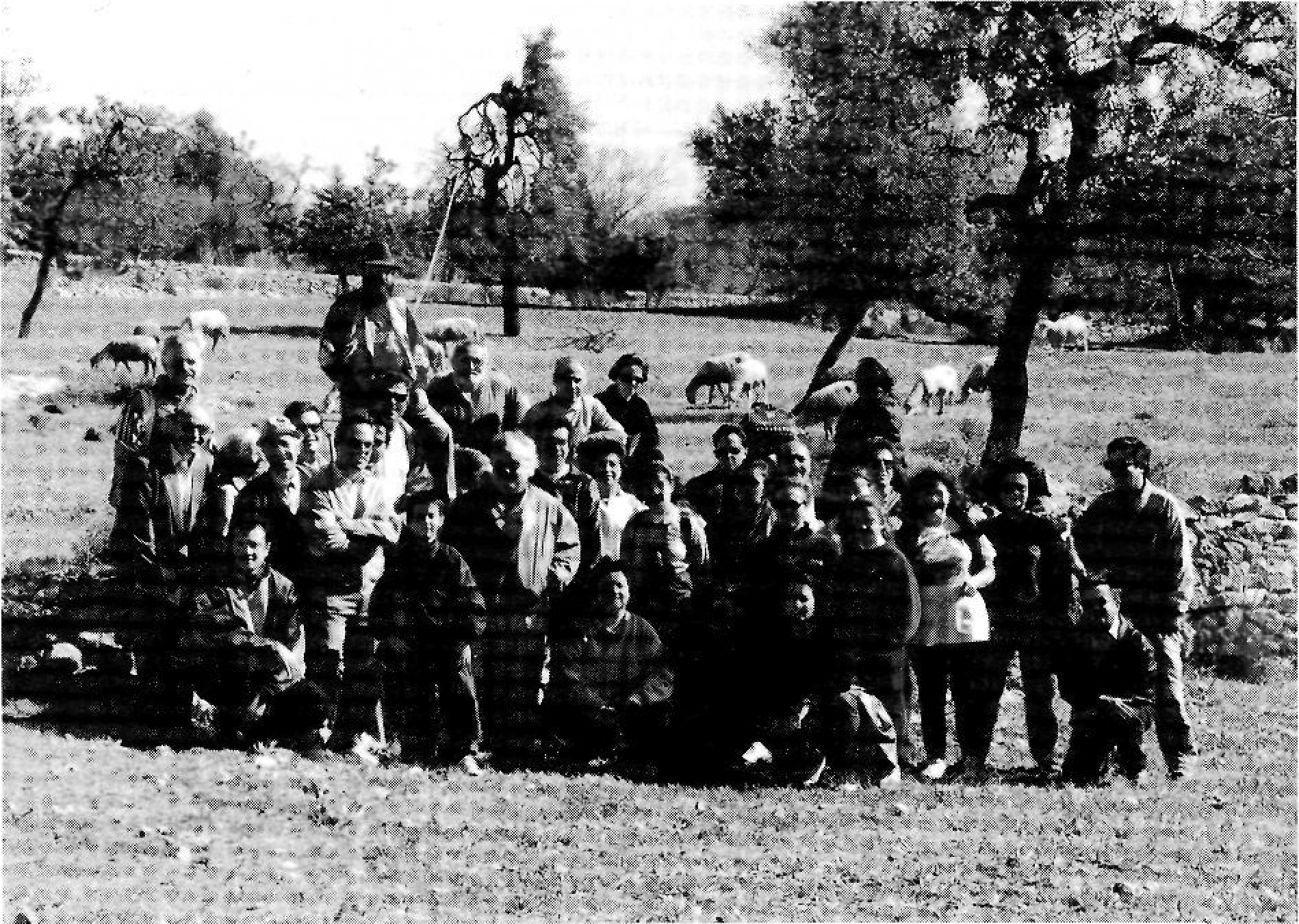 Grup de persones a l'exterior
