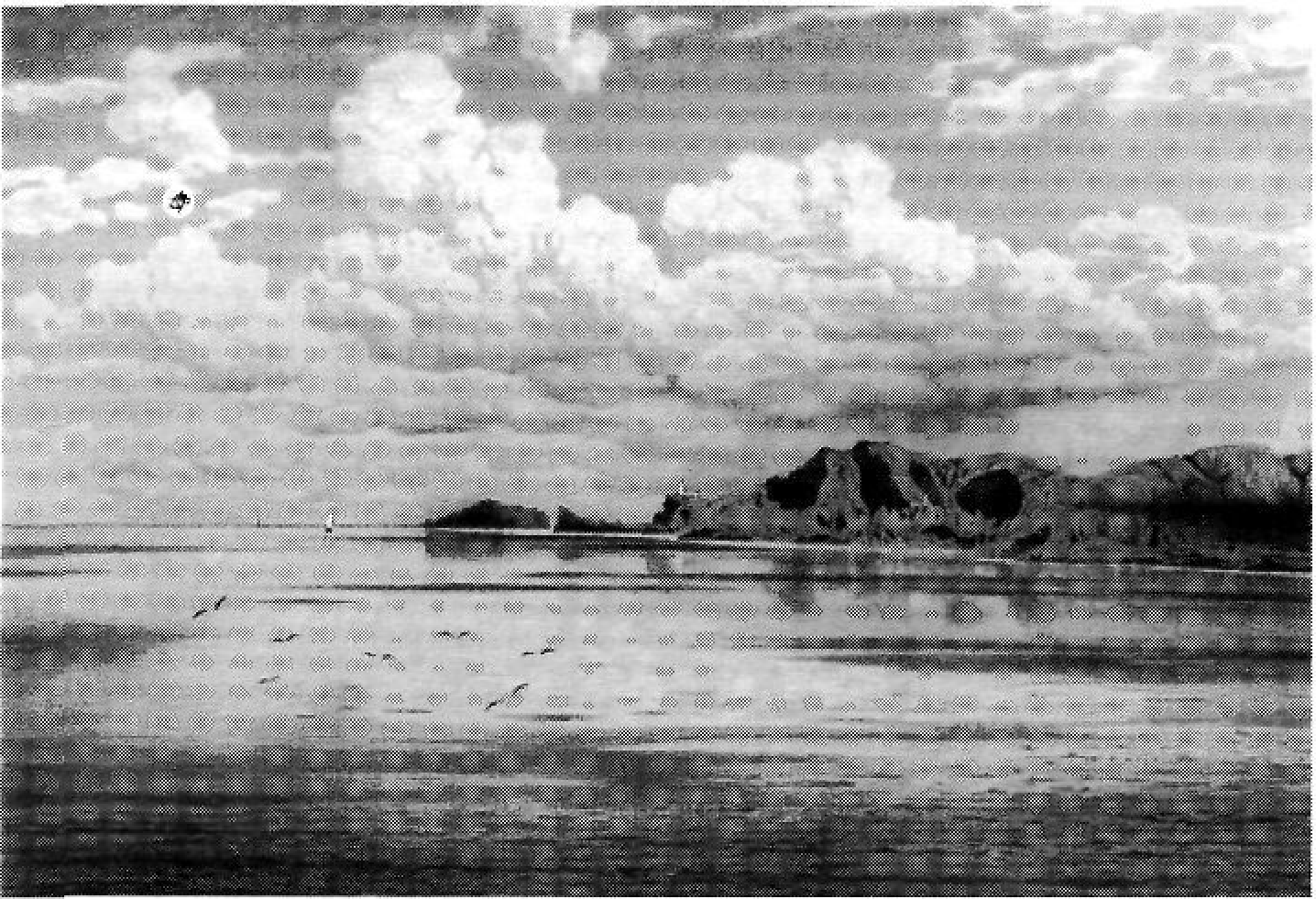 Punta Grossa, 1867 (arxiduc Lluís Salvador).