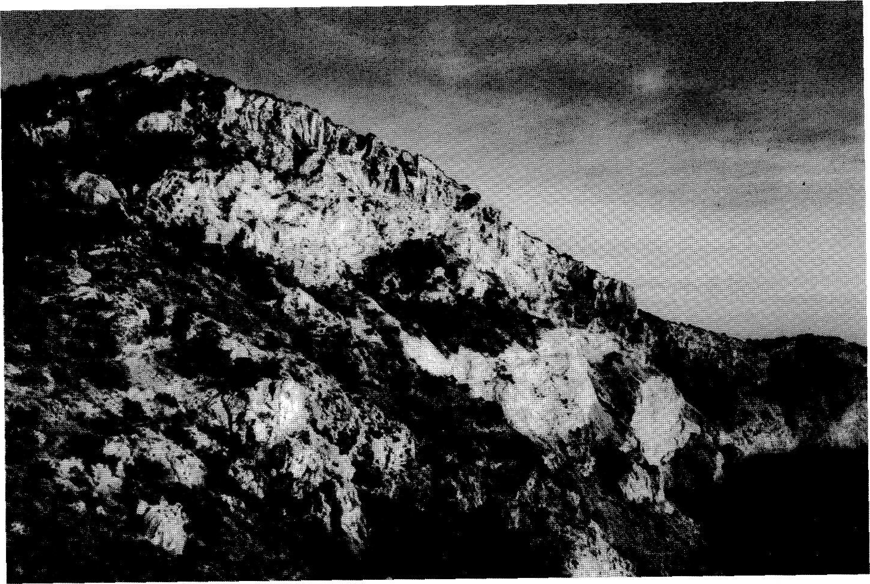 El cap del Jueu (413 m), des del puig del Savinar. A la dreta, el cap de cala Llentrisca s'endinsa en la mar.