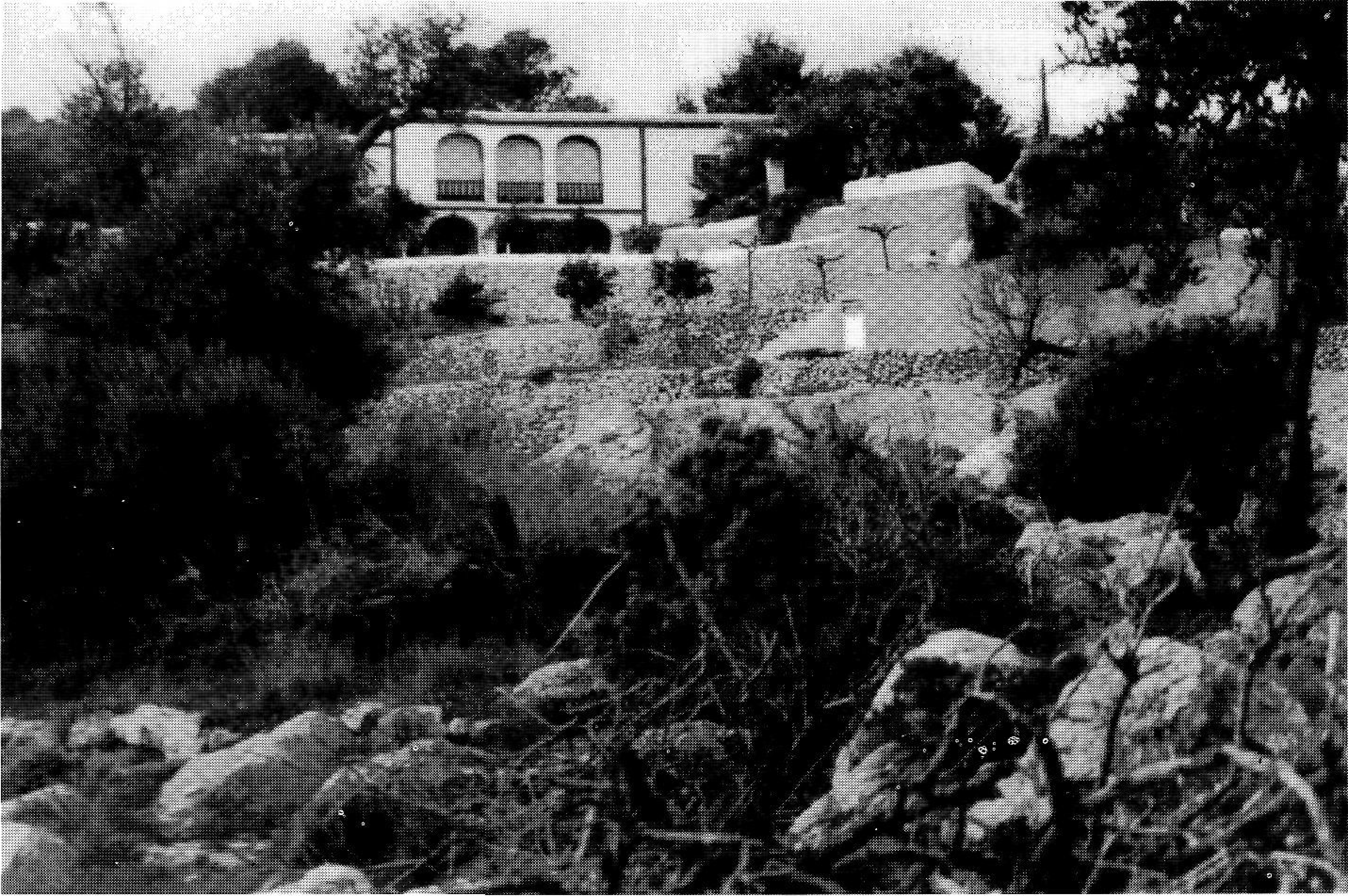 ...una nit la seua mare hagué de sortir, i Baló, que estava a l'aguait, la va atacar per segona vegada amb la intenció de matar-la. (Foto: Josep Marí)