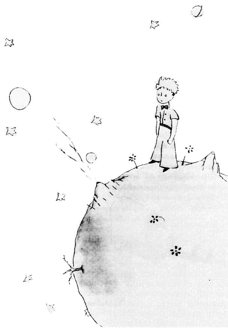 El Petit Príncep sobre el seu planeta