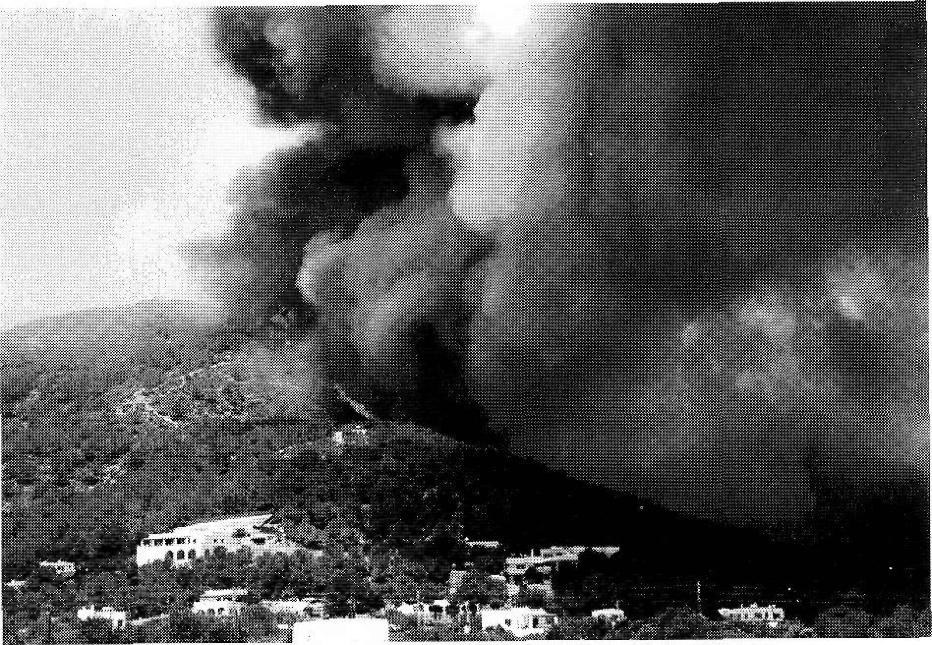 Incendi forestal a cas Mut. 2 de juny de 1994.