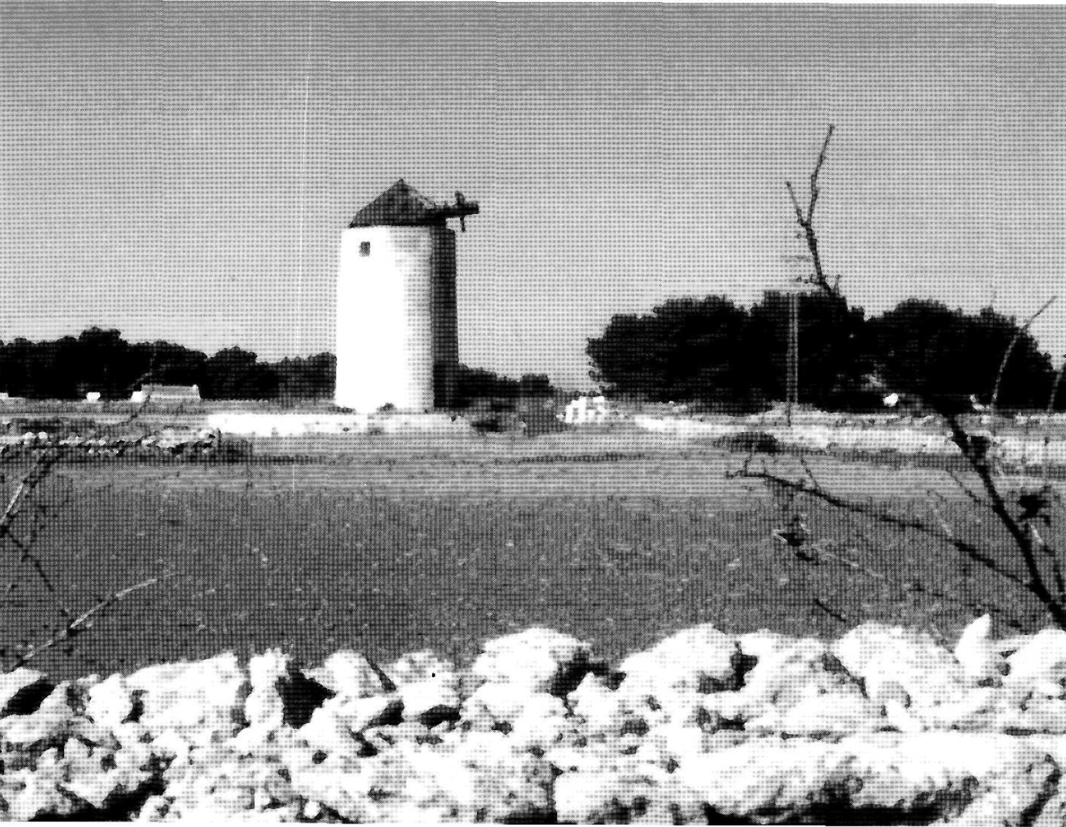Molí d'en Botiga, la Mola. (Foto: Joan Marí Cardona.)