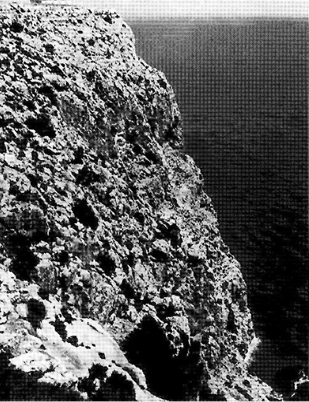 Penya-segats de la Mola i del cap de Barbaria