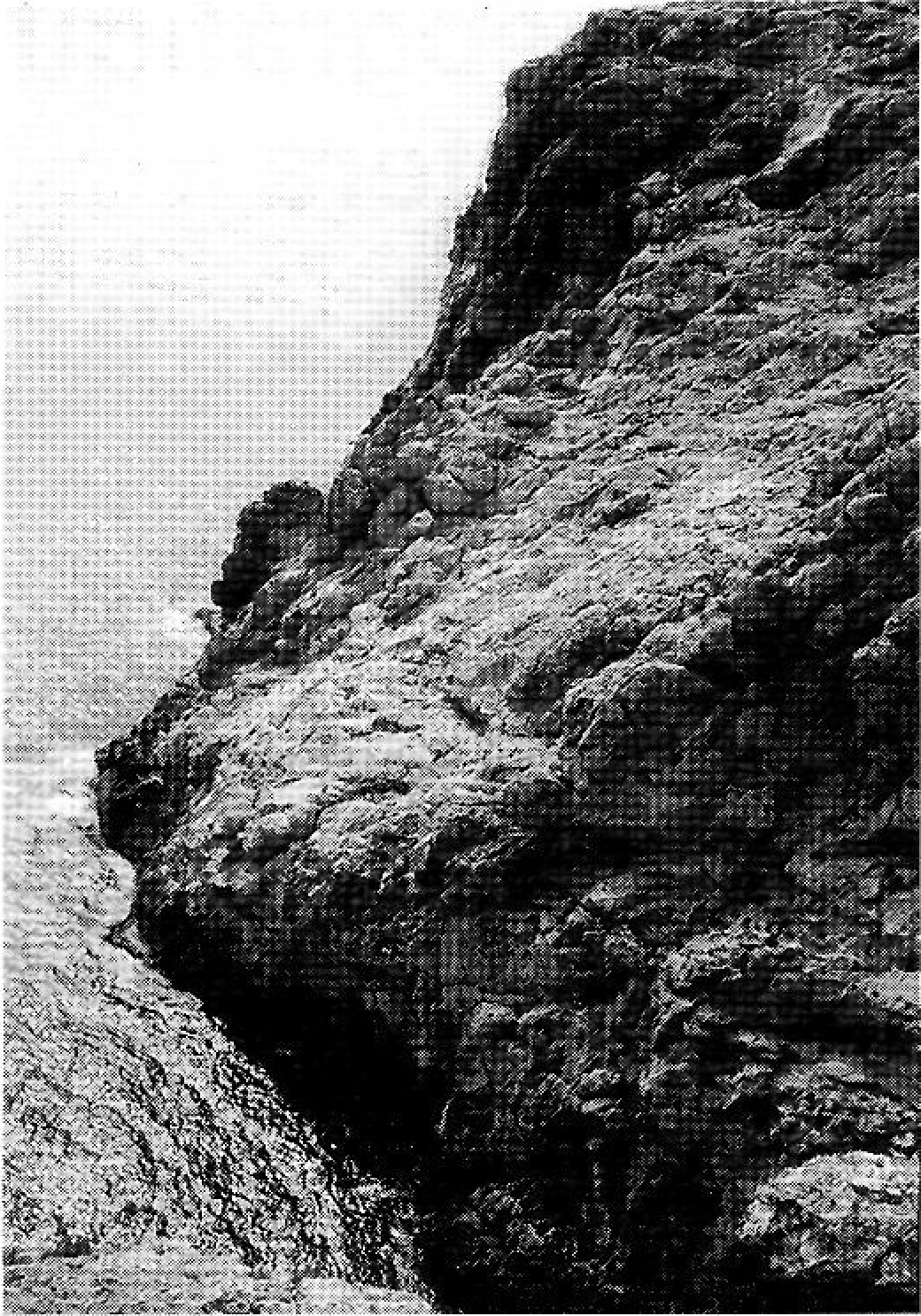 Penya-segats de la Mola i del cap de Barbaria