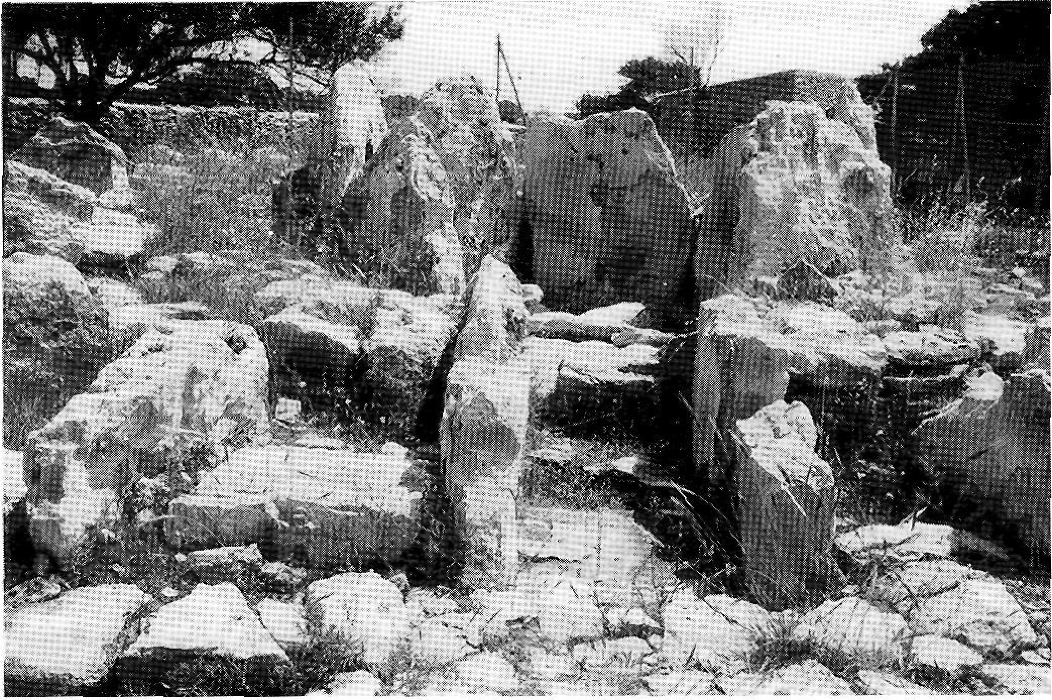 Monument megalític de ca na Costa i castellum romà de can Pins