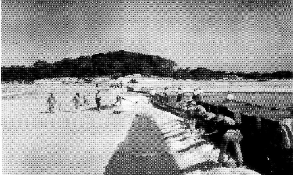 Treballadors de Formentera: saliner i filadora