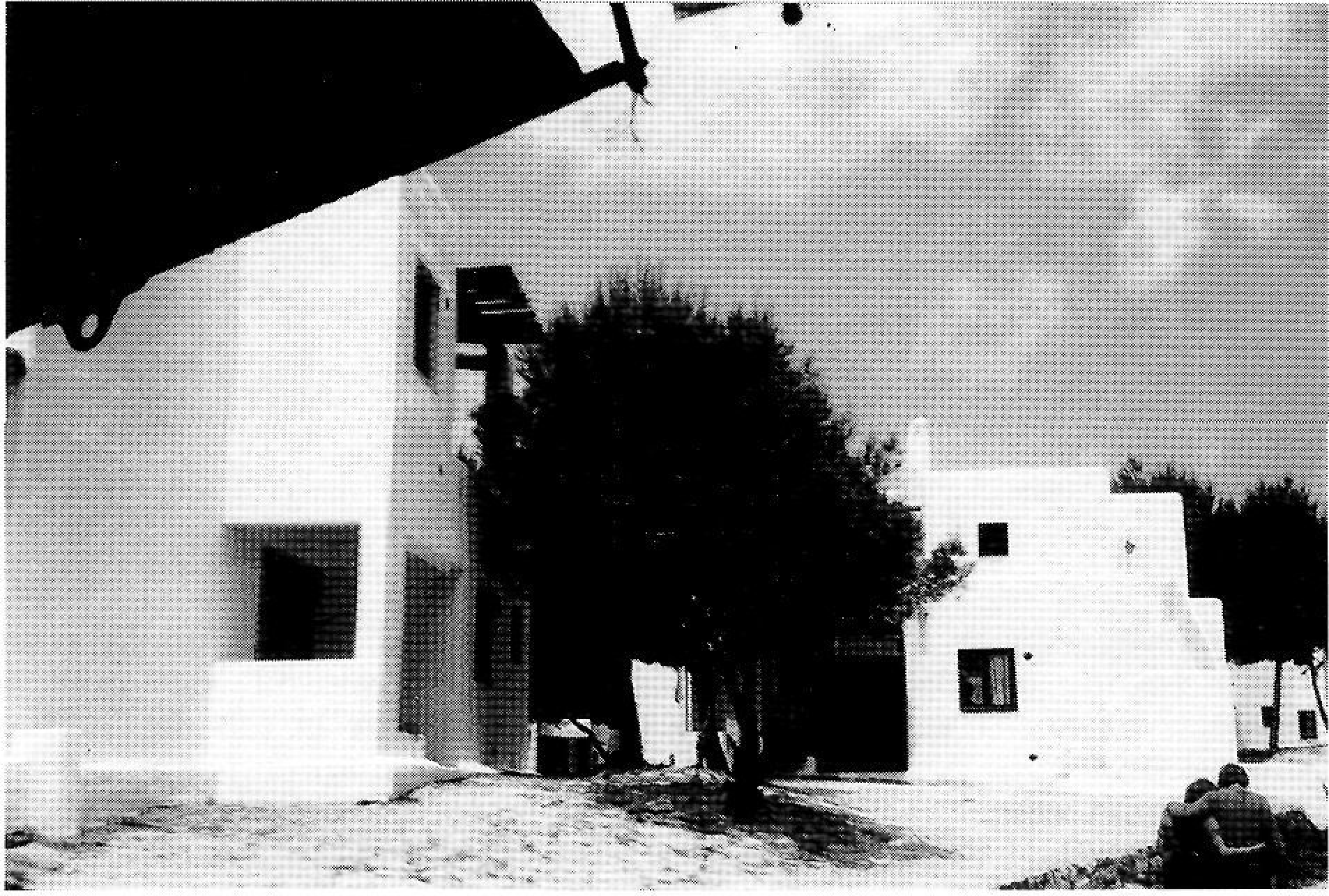 Urbanització Maryland i port de la Savina