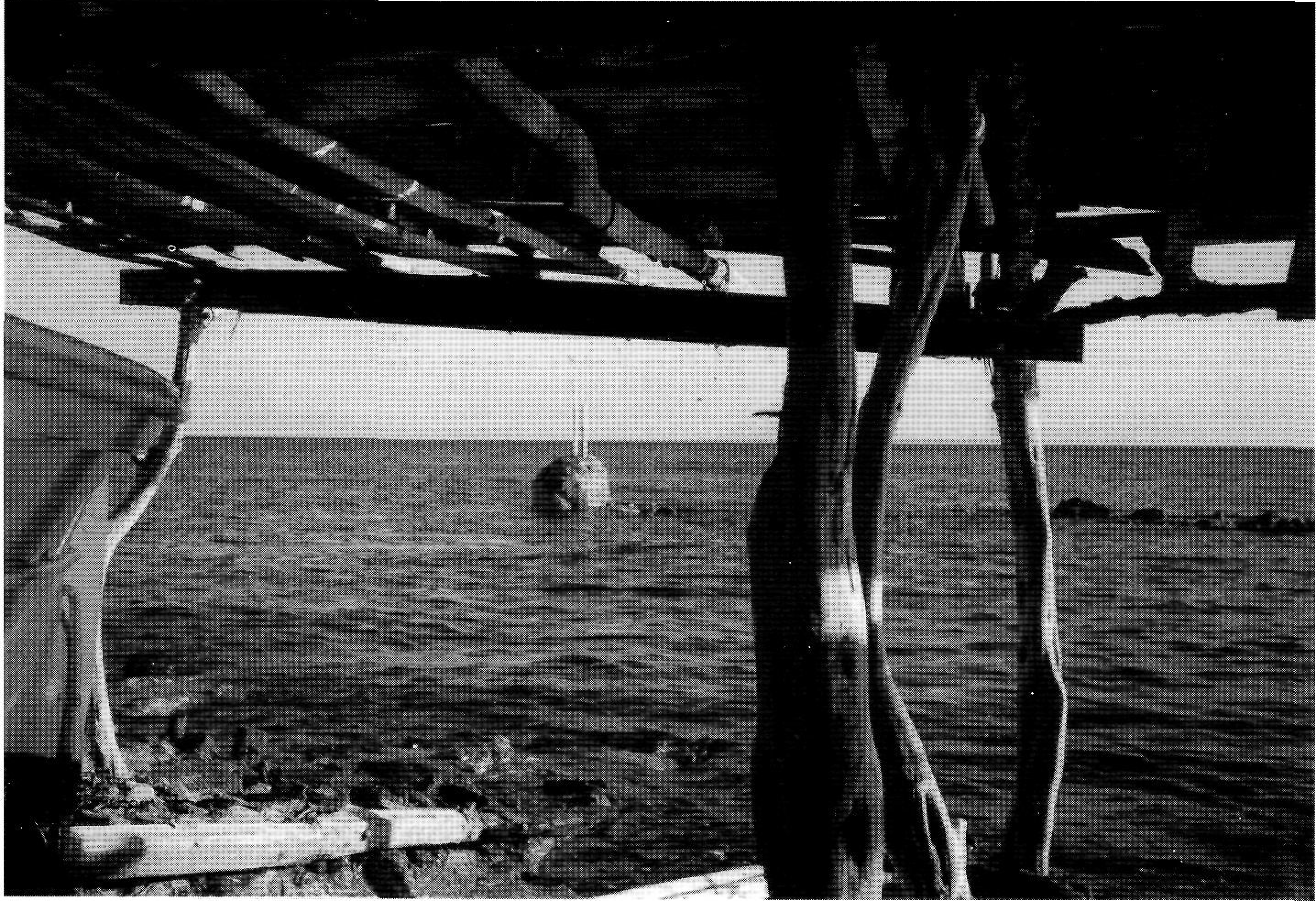 Entre la mar i el vent. La petita Formentera, més mar que terra, s'eixampla pel Migjorn fins a un horitzó sense límits. La mar, acaronada per una suau brisa, ofrena generosa els seus fruits. La caseta de savina és elemental refugi d'embarcacions i ombra eficaç davant del foc d'un dia d'estiu. I el cel infinit, en una benedicció còsmica, envolta l'harmonia d'aquest microcosmos fomenterer. (Foto: Francesc Cardona.)
