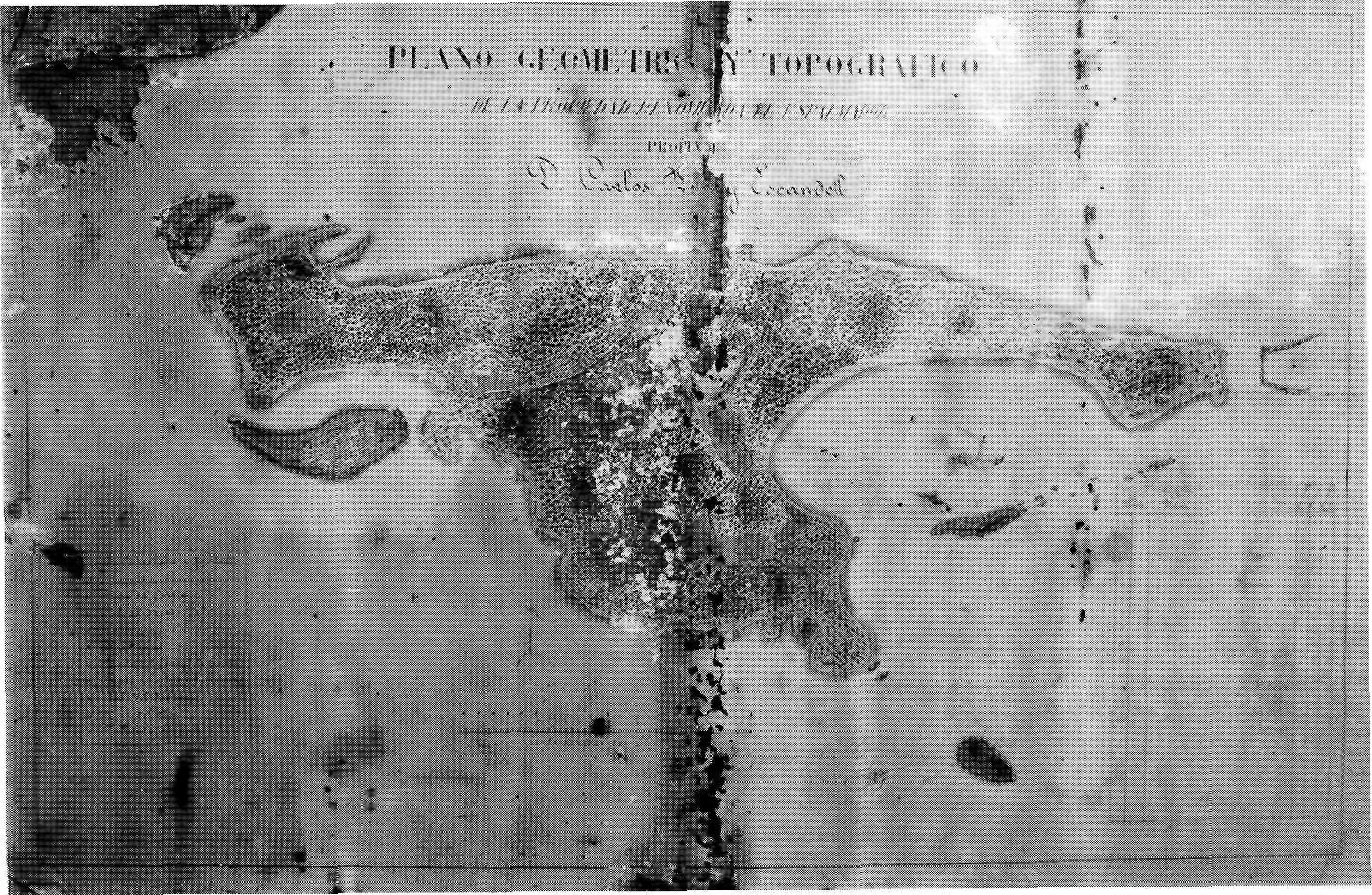 PLANO GEOMETRY TOPOGRAFICO