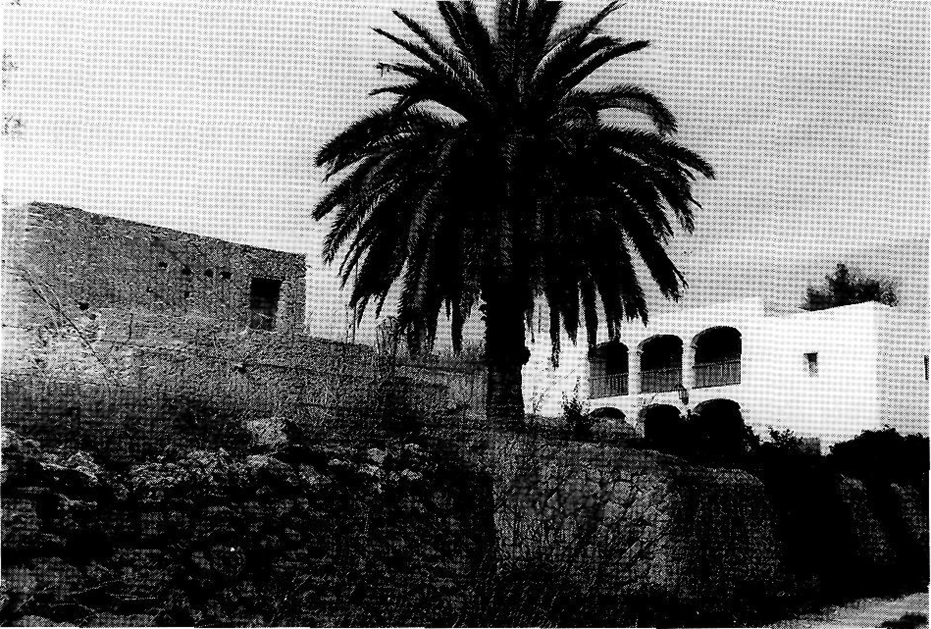 D'esquerra a dreta, can Guerxo, vénda de Dellà Torrent (Sant Agustí), i torre del Carregador, vénda de la Torre (Sant Francesc de Paula). (Fotos: J. Marí Cardona.)