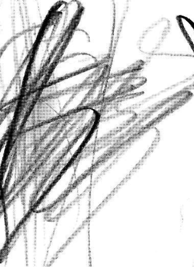Il·lustració abstracta per Josepmaria 96
