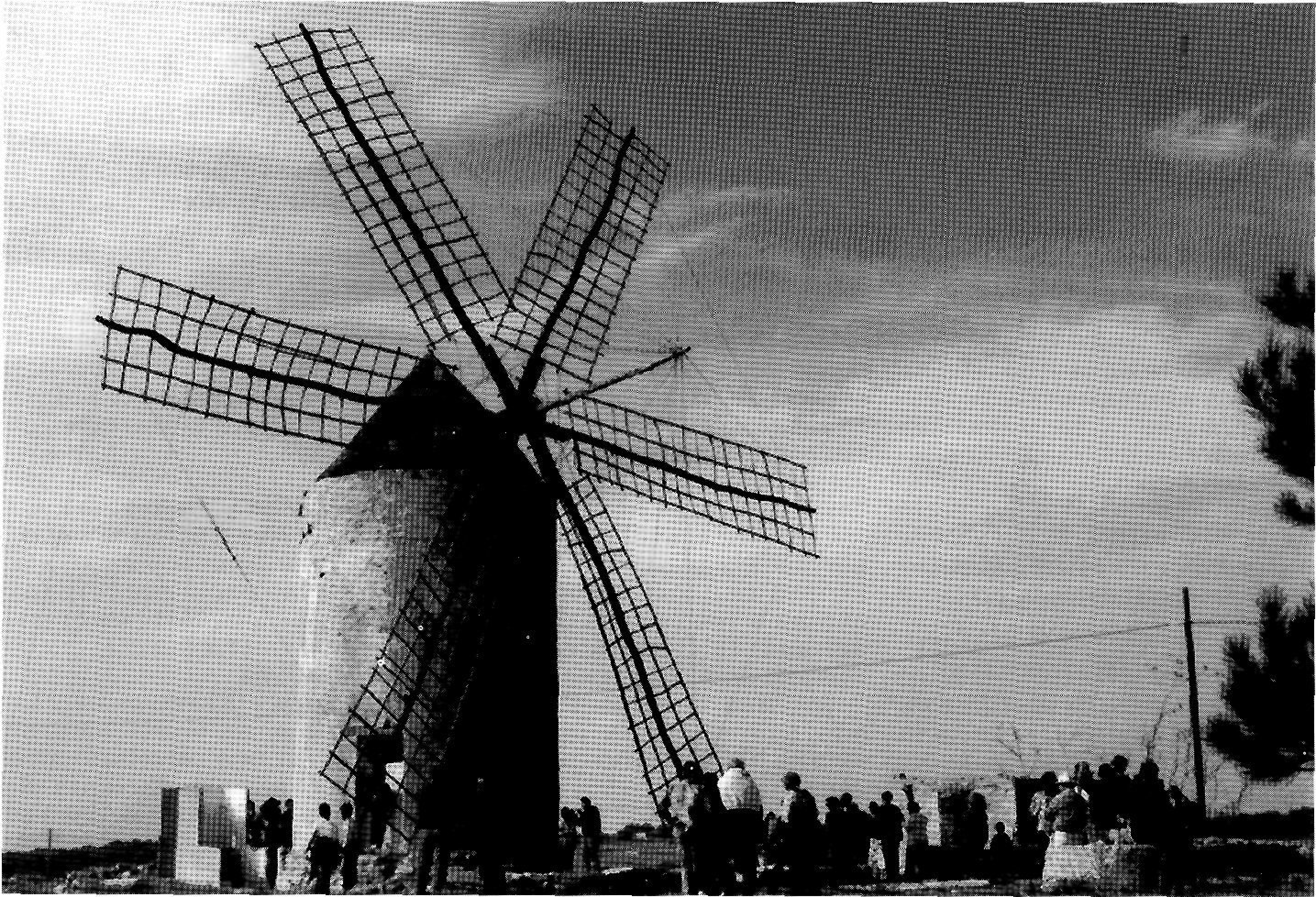 Dissabte, dia 11 de novembre, es realitzà una excursió a Formentera, amb l'assistència d'un centenar de participants. Dirigits per Joan Marí Cardona, visitaren bona part de l'illa, i amb atenció especial el molí Vell de la Mola, on en Joan des Moliner explicà el funcionament d'un molí i la restauració recent del molí Vell. (Foto: Vicent Ribas Trull.)