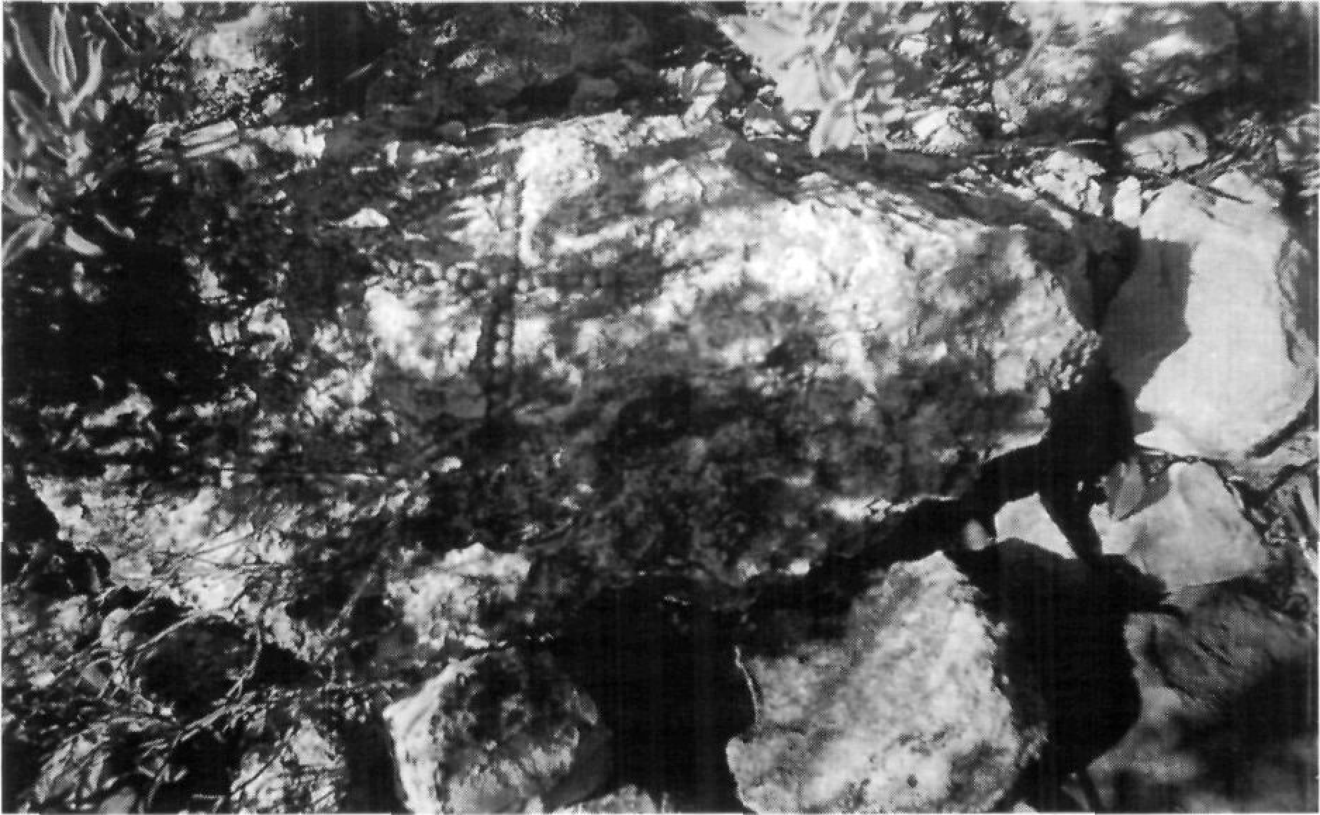 Fites del puig Nunó. Foto inferior, creu picada a una pedra situada al peu del vèrtex geodèsic.