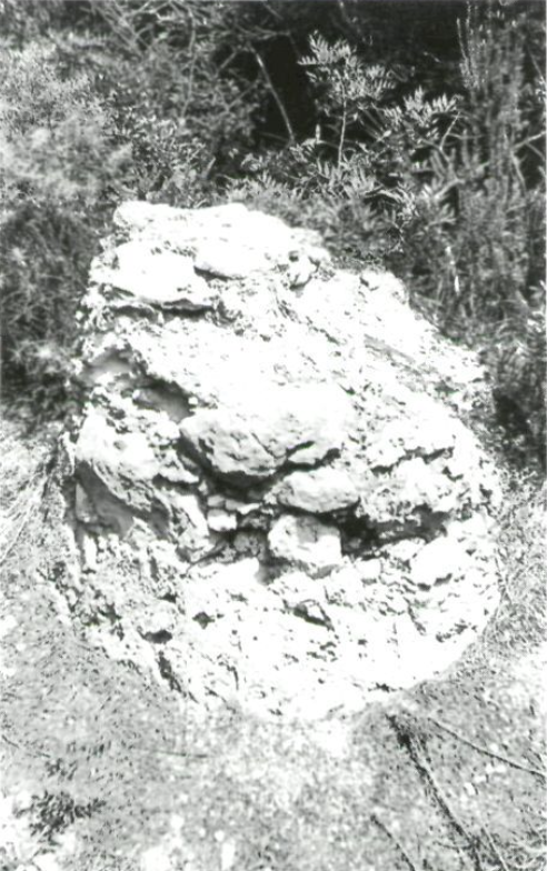A l'esquerra, serreta d'en Nicolau. Fita existent just devora l'hort de can Toni Petit del Port; a la dreta, coll d'en Cabra, a llevant de l'església de Sant Miquel. Restes de la fita de 1797.